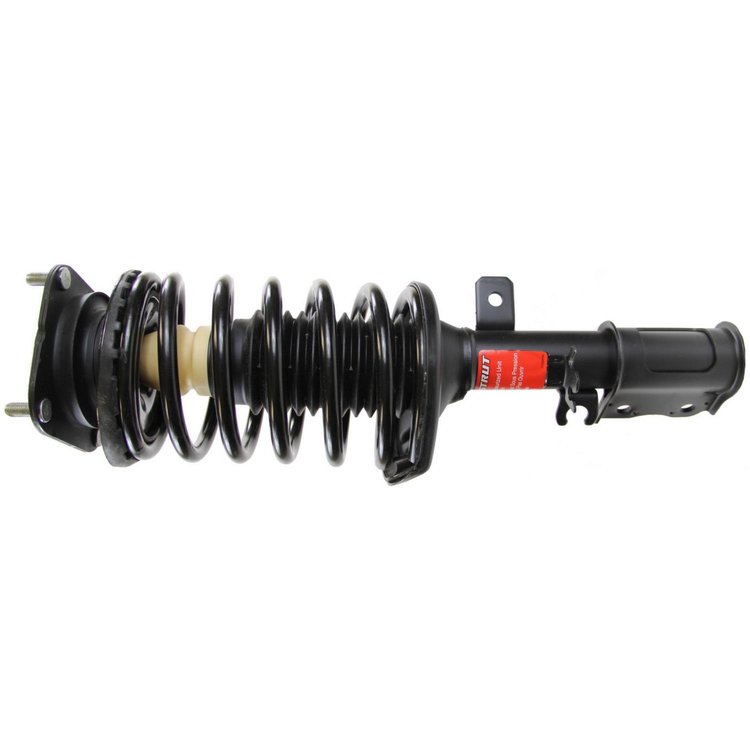Quick-Strut Strut and Coil Spring Assembly