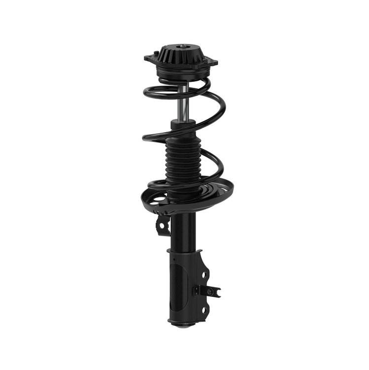 Quick-Strut Strut and Coil Spring Assembly