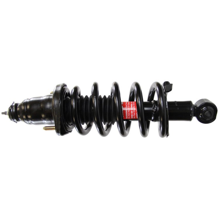 RoadMatic Strut and Coil Spring Assembly