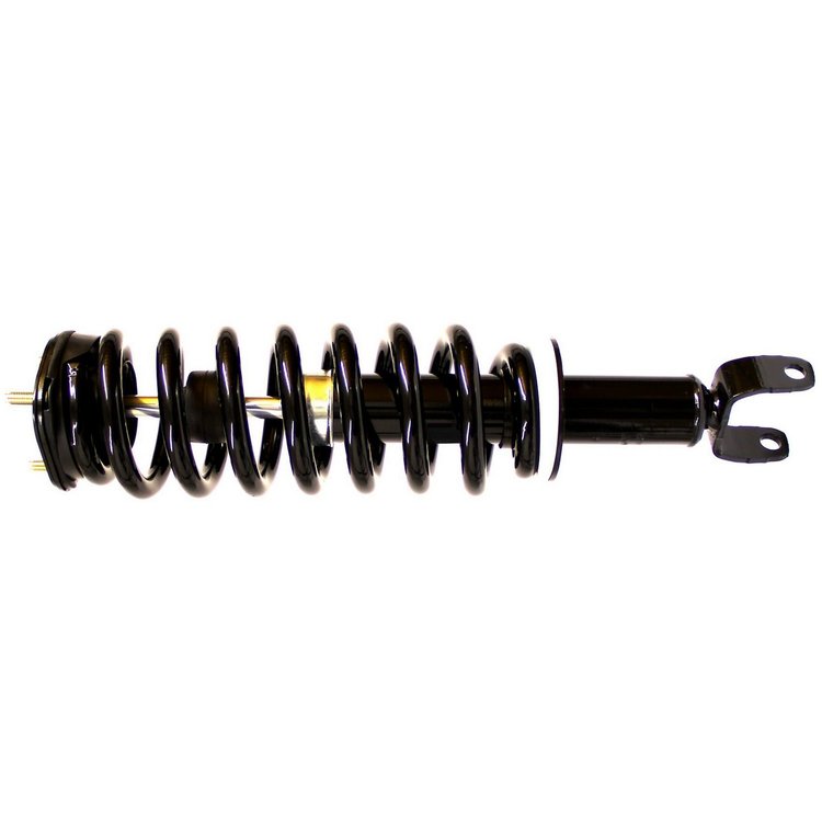 RoadMatic Strut and Coil Spring Assembly