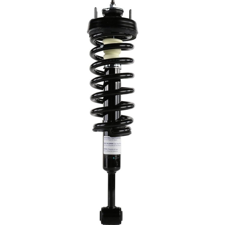 RoadMatic Strut and Coil Spring Assembly