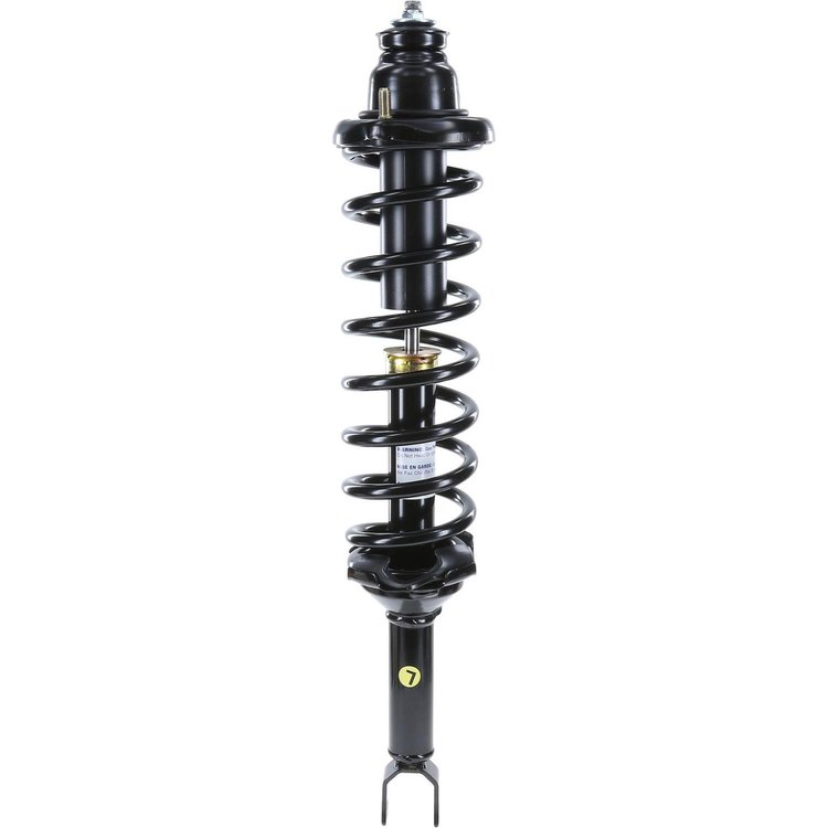 RoadMatic Strut and Coil Spring Assembly