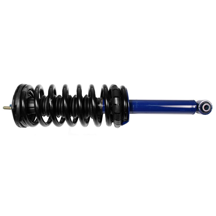 RoadMatic Strut and Coil Spring Assembly