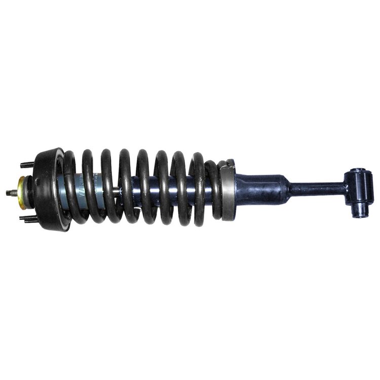 RoadMatic Strut and Coil Spring Assembly
