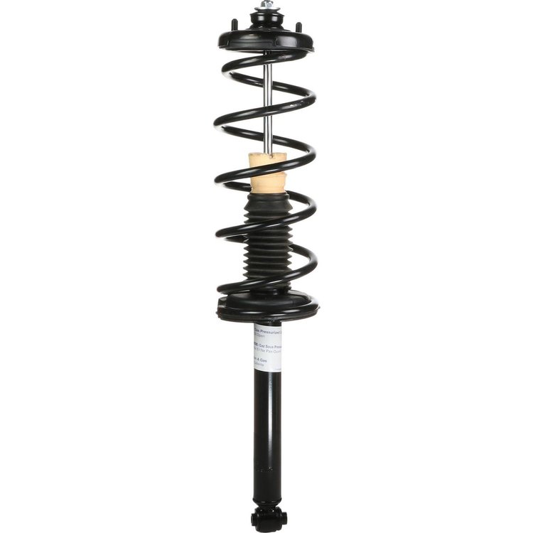 RoadMatic Strut and Coil Spring Assembly