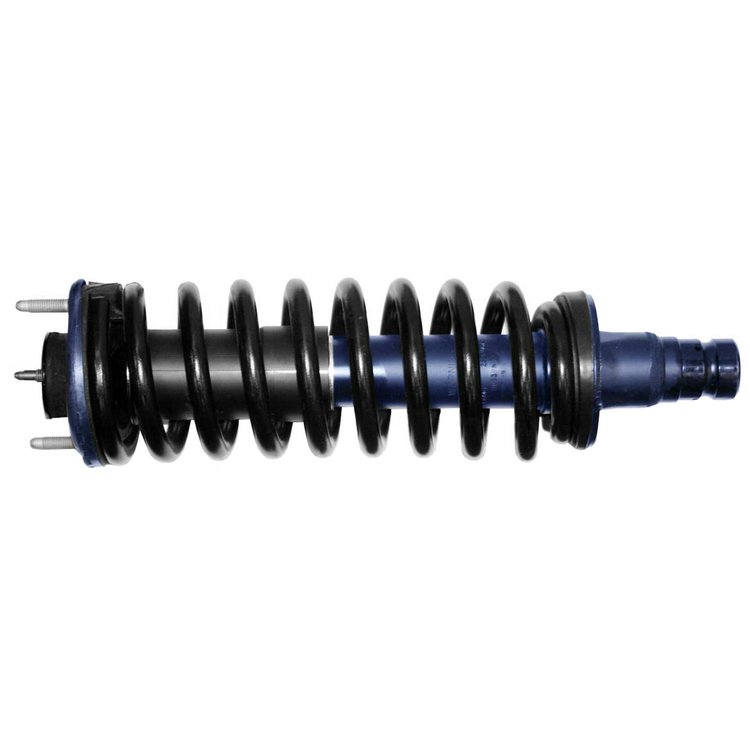 RoadMatic Strut and Coil Spring Assembly