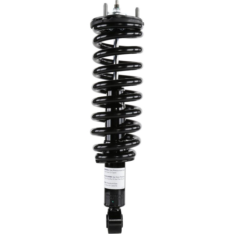 RoadMatic Strut and Coil Spring Assembly