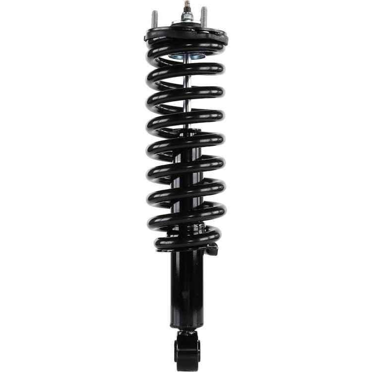 RoadMatic Strut and Coil Spring Assembly