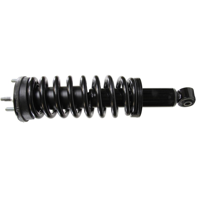 RoadMatic Strut and Coil Spring Assembly