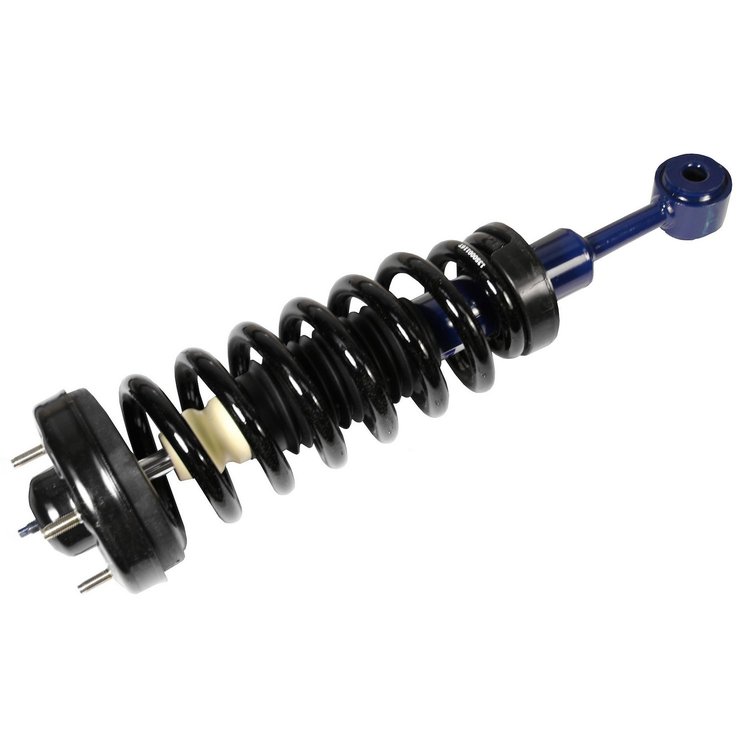 RoadMatic Strut and Coil Spring Assembly