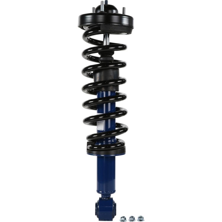 RoadMatic Strut and Coil Spring Assembly