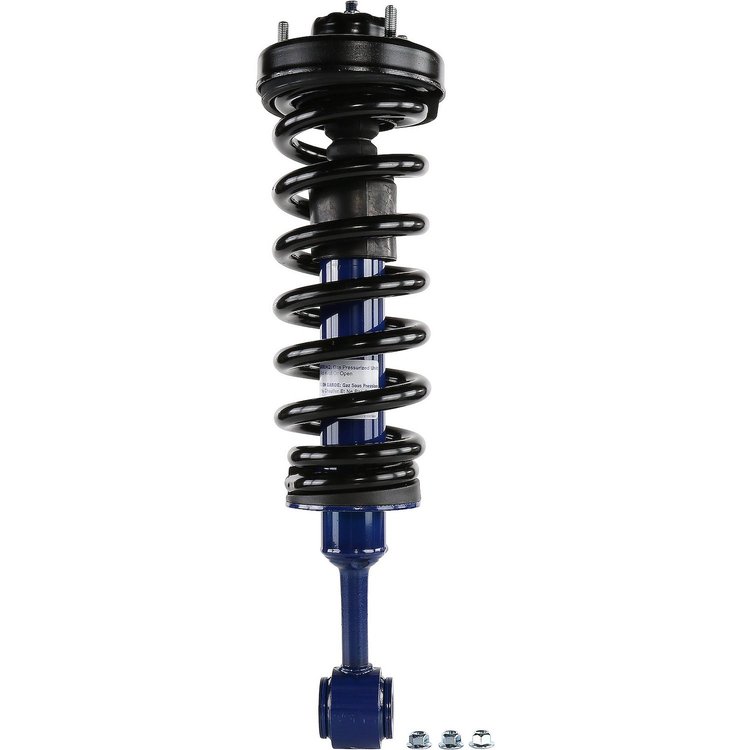RoadMatic Strut and Coil Spring Assembly