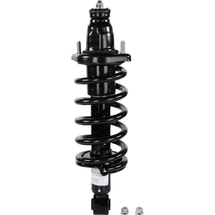 RoadMatic Strut and Coil Spring Assembly