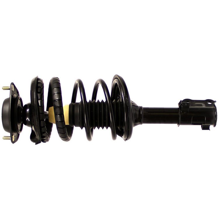 RoadMatic Strut and Coil Spring Assembly