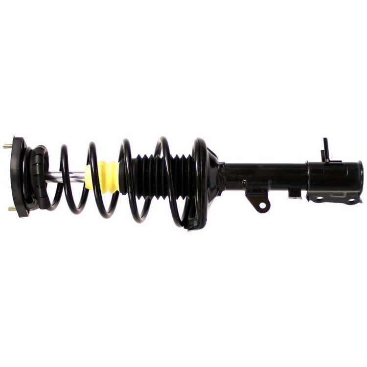RoadMatic Strut and Coil Spring Assembly