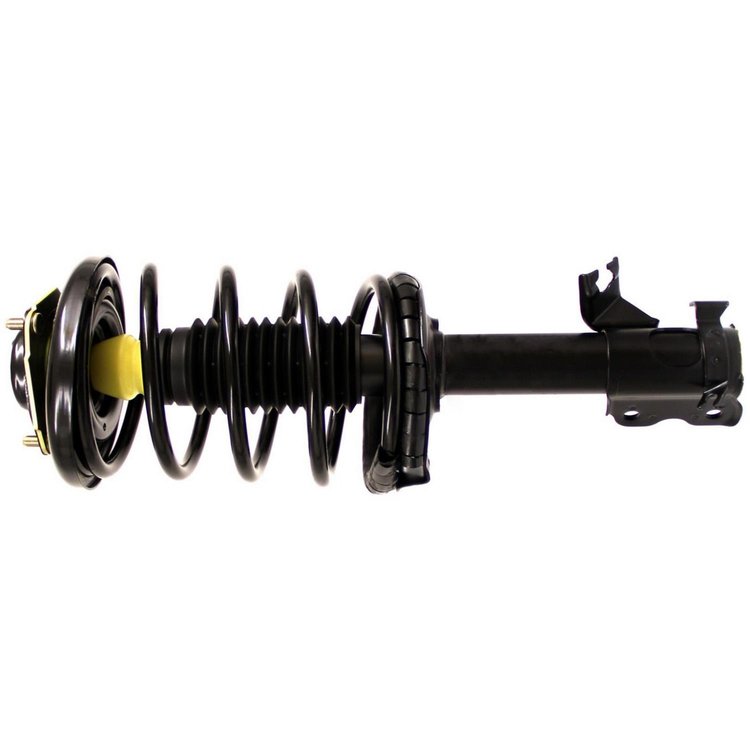 RoadMatic Strut and Coil Spring Assembly
