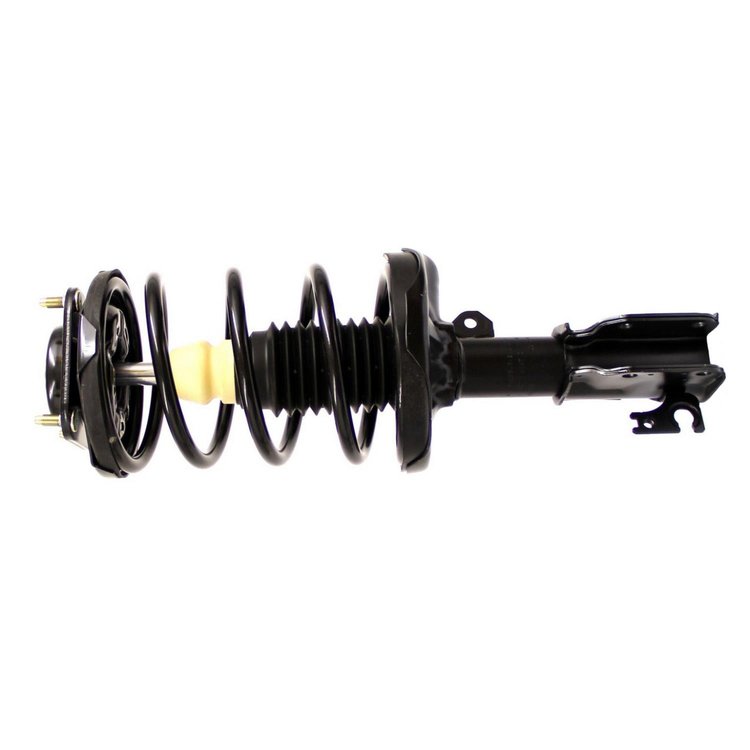 RoadMatic Strut and Coil Spring Assembly