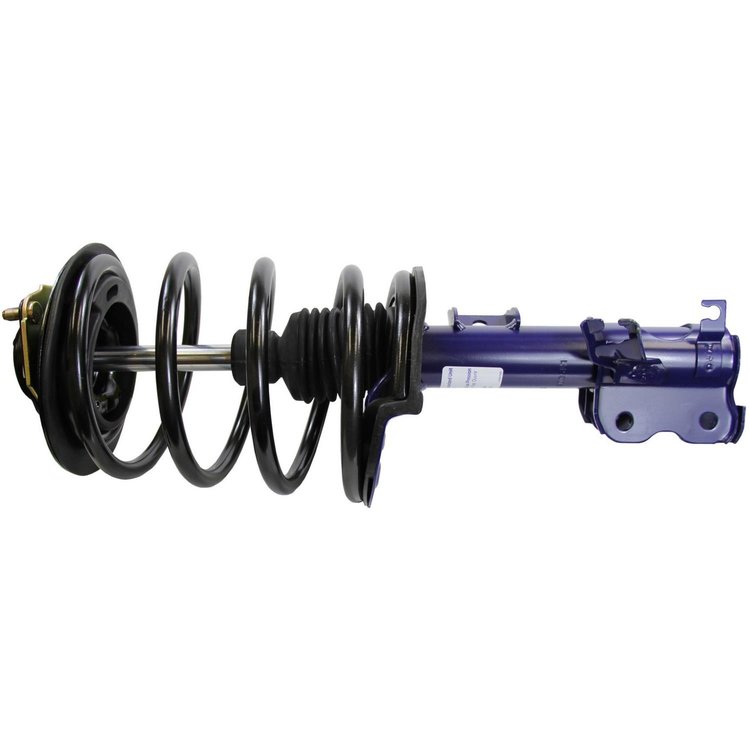 RoadMatic Strut and Coil Spring Assembly