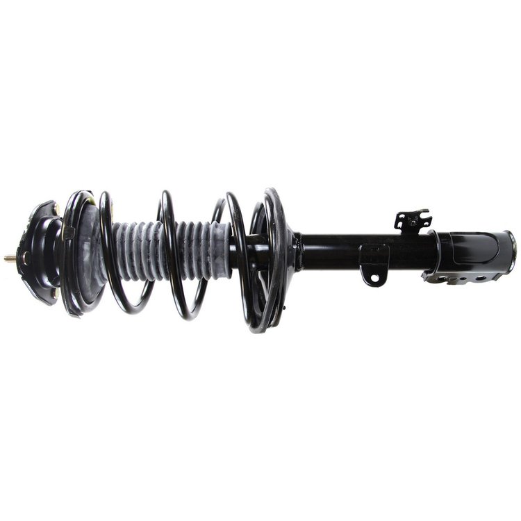 RoadMatic Strut and Coil Spring Assembly