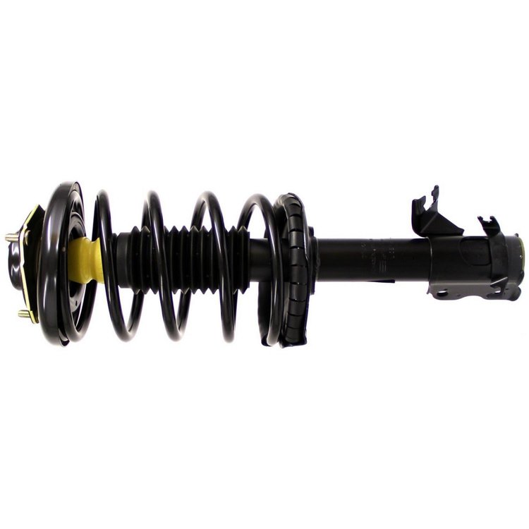 RoadMatic Strut and Coil Spring Assembly