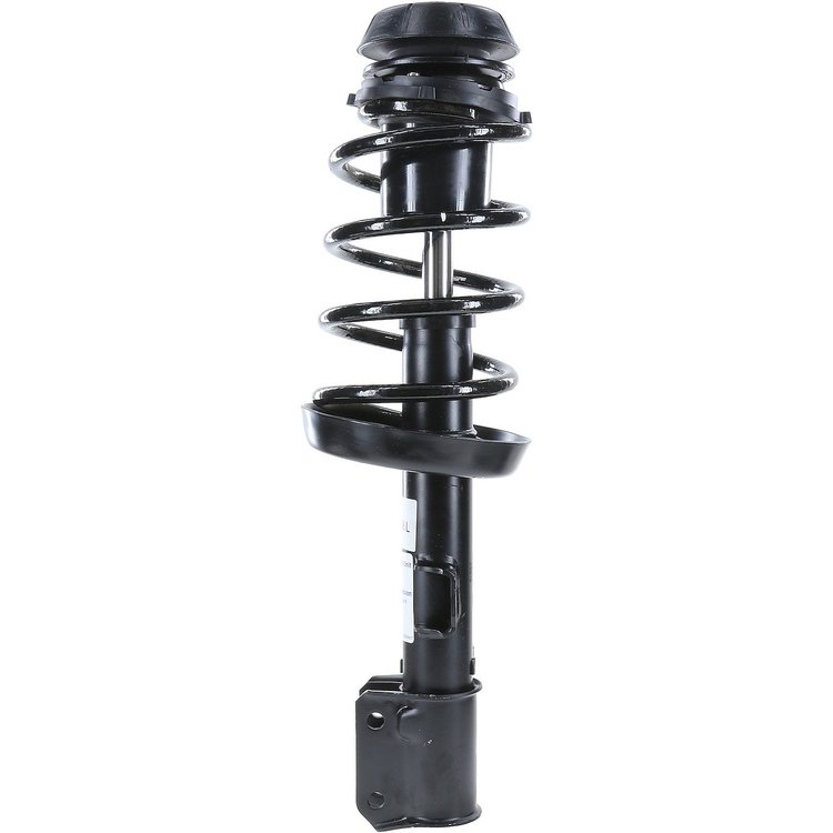 RoadMatic Strut and Coil Spring Assembly