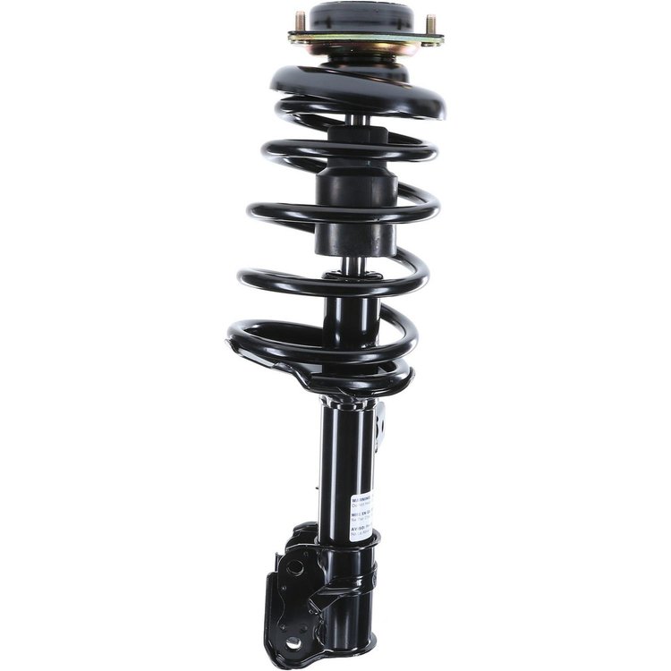 RoadMatic Strut and Coil Spring Assembly