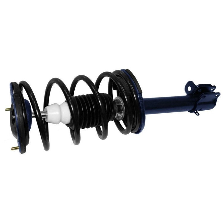 RoadMatic Strut and Coil Spring Assembly