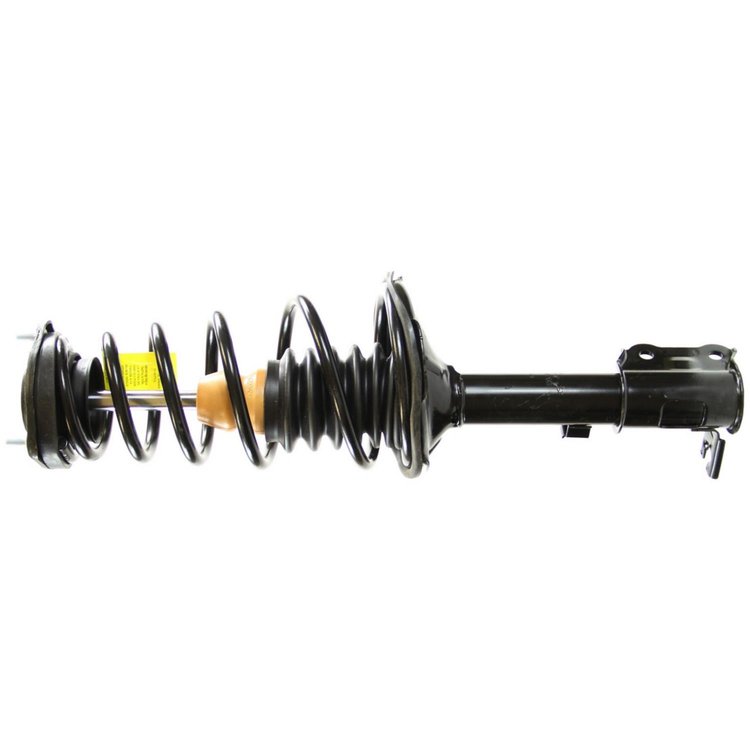 RoadMatic Strut and Coil Spring Assembly