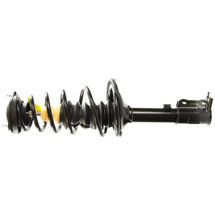 RoadMatic Strut and Coil Spring Assembly