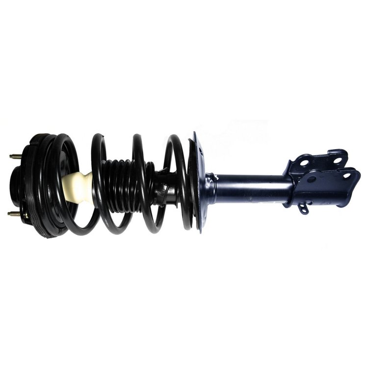 RoadMatic Strut and Coil Spring Assembly