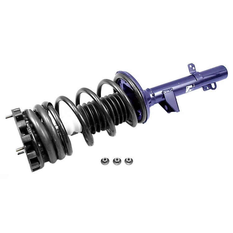 RoadMatic Strut and Coil Spring Assembly