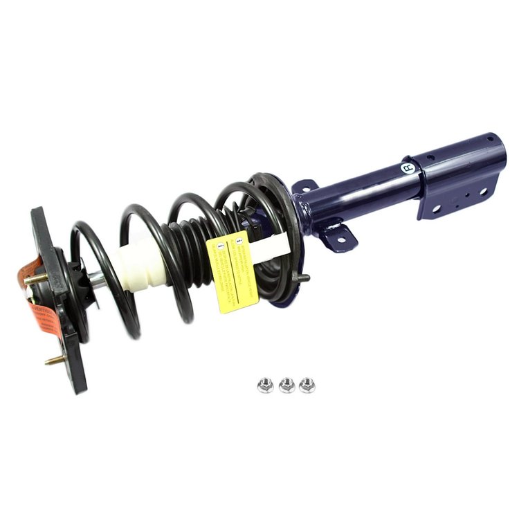 RoadMatic Strut and Coil Spring Assembly