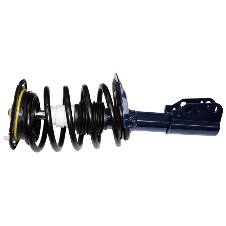 RoadMatic Strut and Coil Spring Assembly