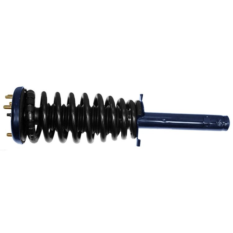 RoadMatic Strut and Coil Spring Assembly