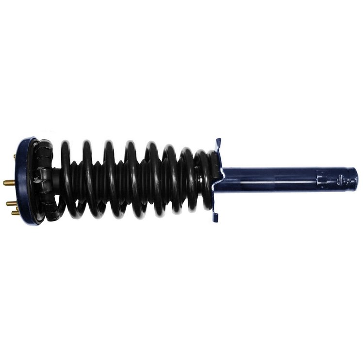 RoadMatic Strut and Coil Spring Assembly