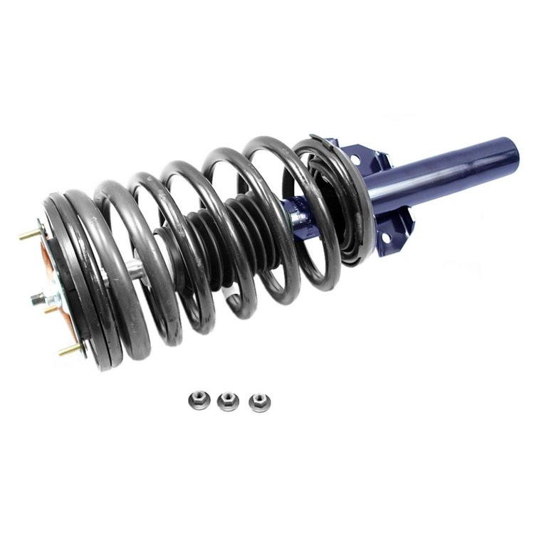 RoadMatic Strut and Coil Spring Assembly