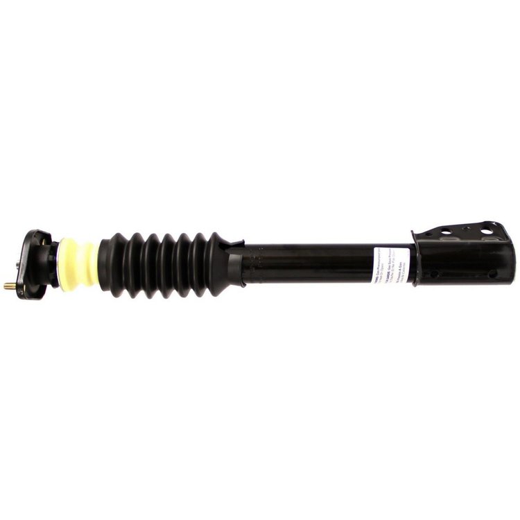 RoadMatic Suspension Strut Assembly
