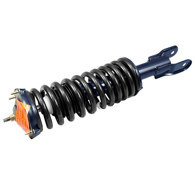 RoadMatic Strut and Coil Spring Assembly