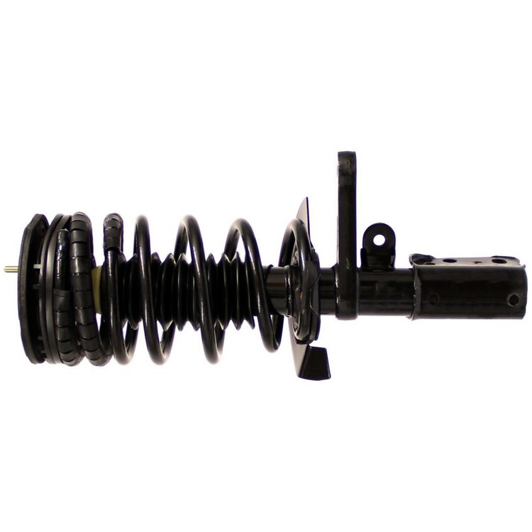 RoadMatic Strut and Coil Spring Assembly