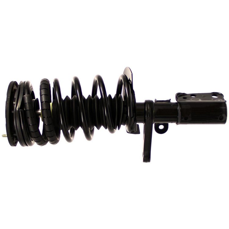RoadMatic Strut and Coil Spring Assembly