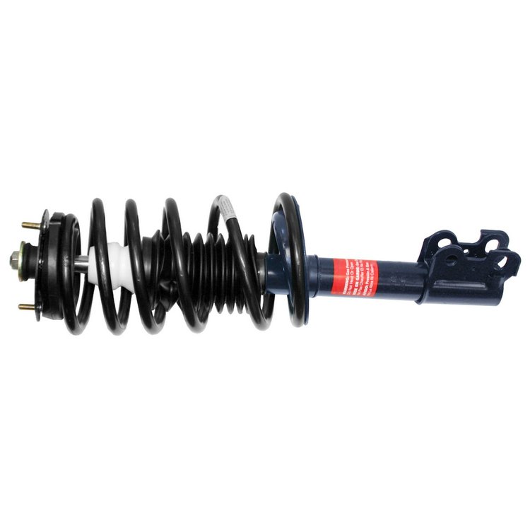 RoadMatic Strut and Coil Spring Assembly