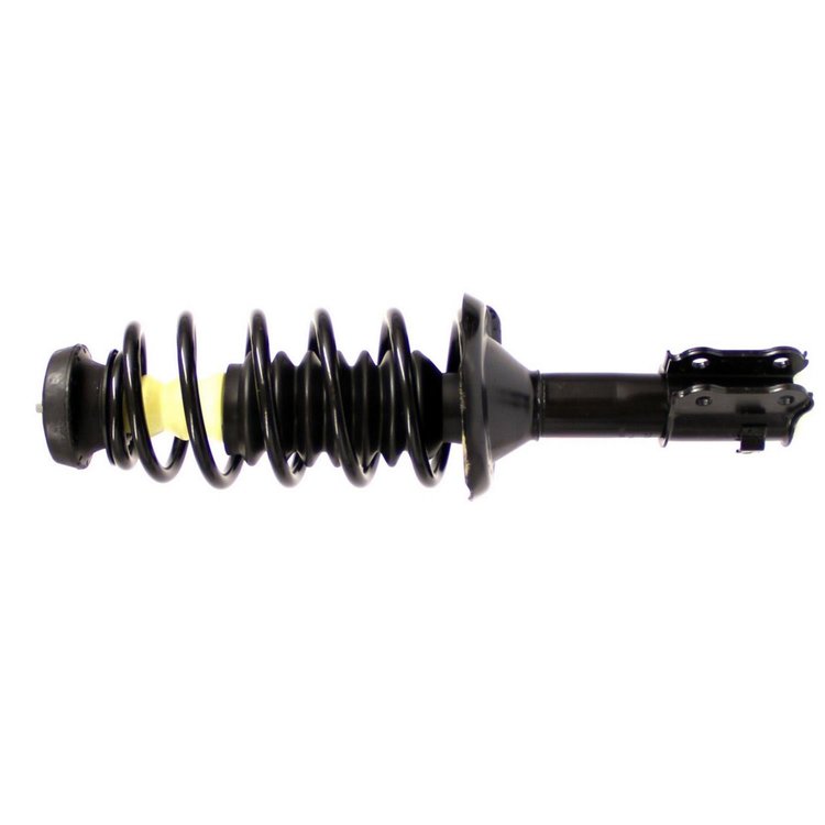 RoadMatic Strut and Coil Spring Assembly