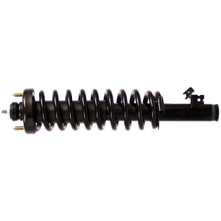 RoadMatic Strut and Coil Spring Assembly