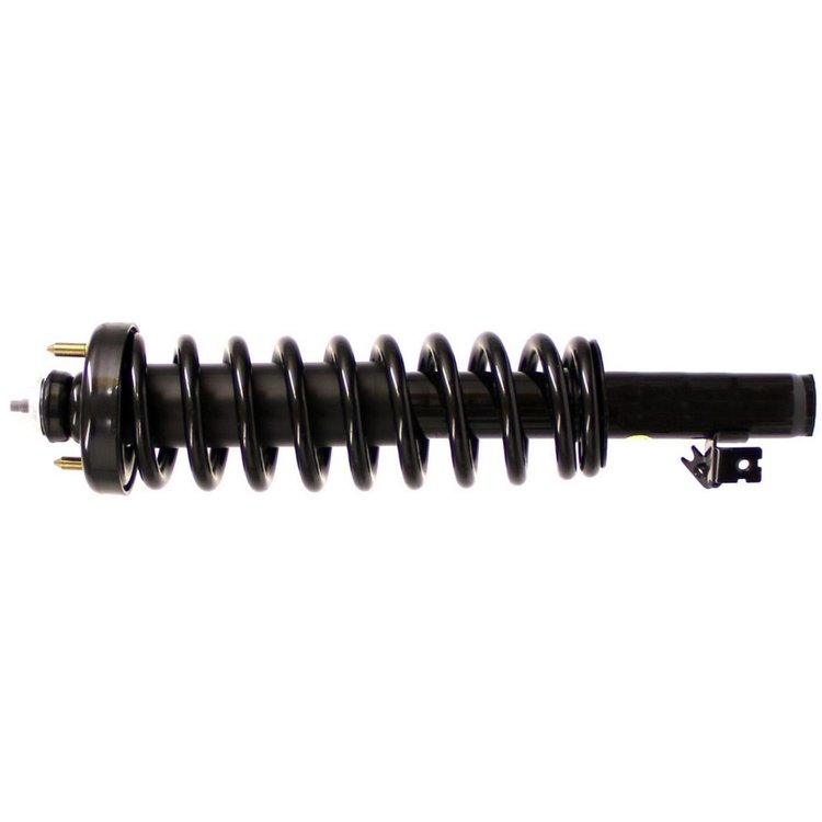 RoadMatic Strut and Coil Spring Assembly
