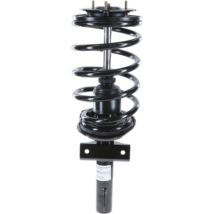 RoadMatic Strut and Coil Spring Assembly