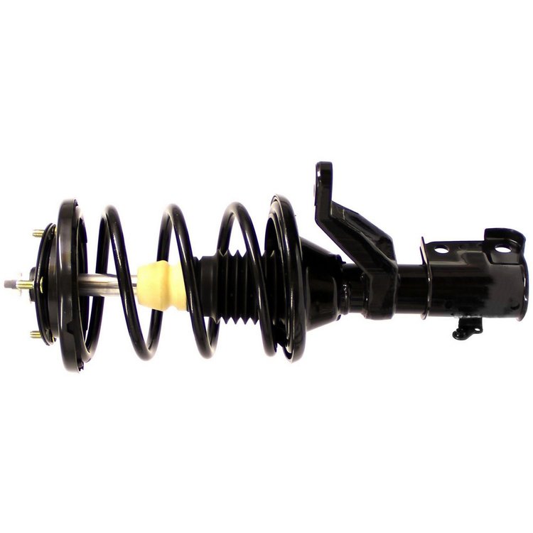 RoadMatic Strut and Coil Spring Assembly