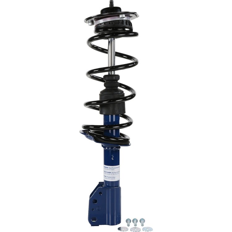 RoadMatic Strut and Coil Spring Assembly