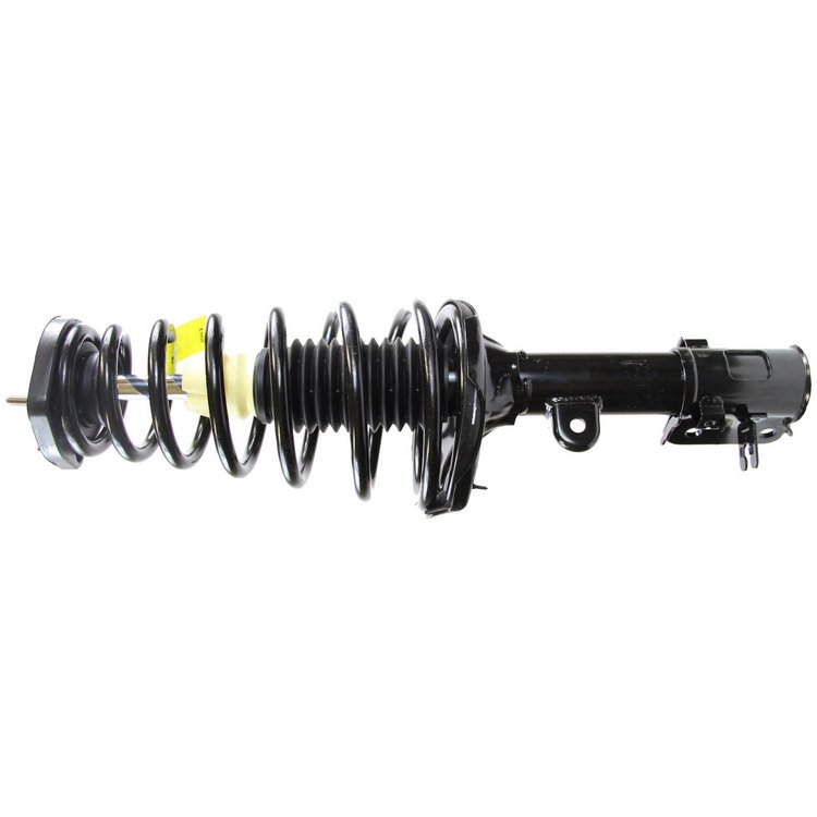 RoadMatic Strut and Coil Spring Assembly