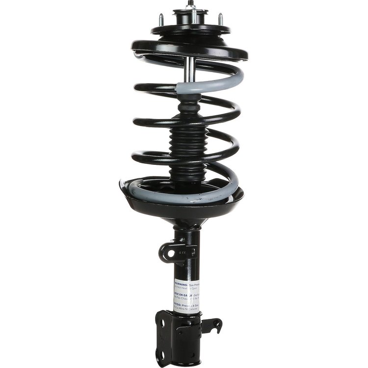 RoadMatic Strut and Coil Spring Assembly