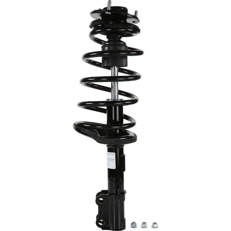 RoadMatic Strut and Coil Spring Assembly